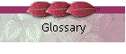 Glossary